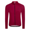 Bluza męska AUTUMN DRY CHERRY